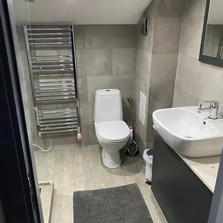 Elegant 3 Alexander Services Luxury Four Bedroom Penthouse Appartement Bansko